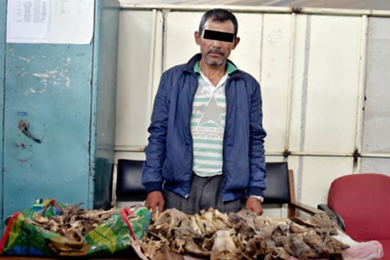 Image accompanying One held for smuggling Leopard skin, bones
