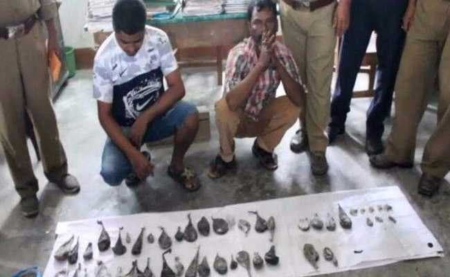 Image accompanying Major Animal Parts Smuggling Racket Busted In Assam
