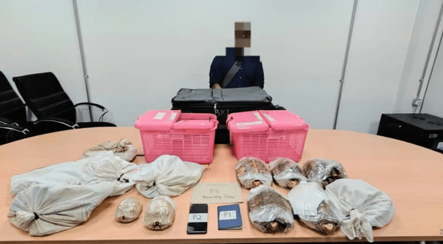 Image accompanying Tiruchy-bound passenger detained at Kuala Lumpur airport with 14 exotic species in bag