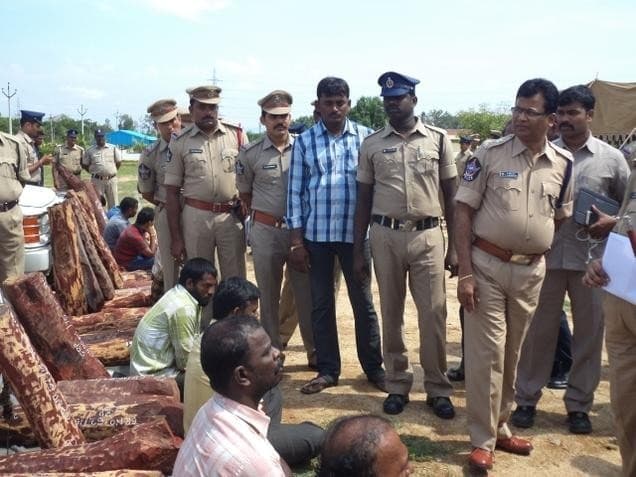 Image accompanying 12 red sanders smugglers of Tamil Nadu arrested in Chittoor
