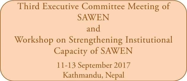 Image for Third Executive Committee Meeting and Institutional Capacity Workshop