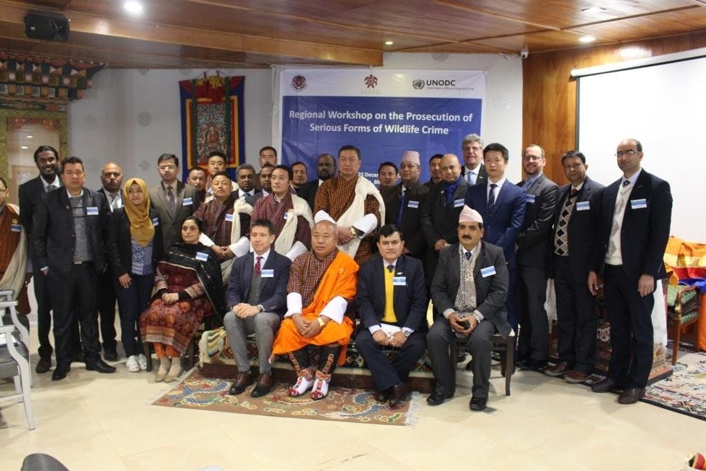 Image accompanying Regional workshop on the prosecution of serious forms of wildlife crime completed
