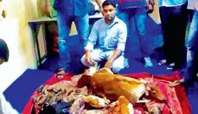 Image accompanying Black buck meat on sale in Old City, police bust racket