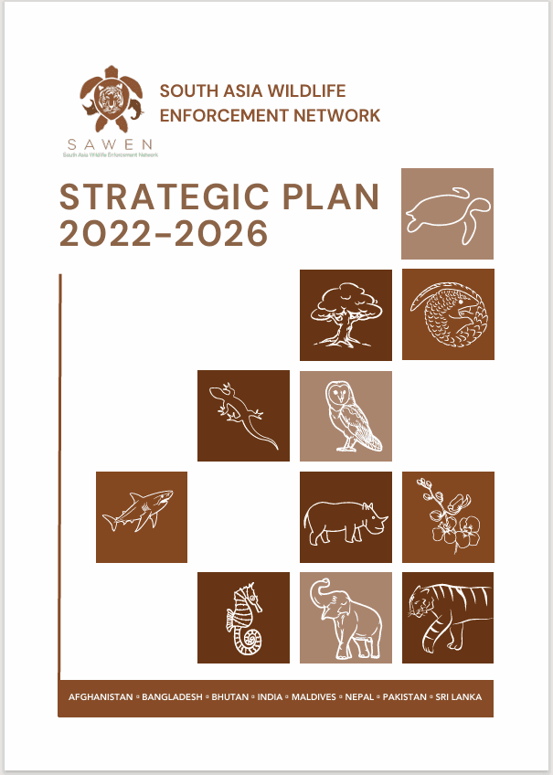 Cover of SAWEN Strategic Plan 2022-2026