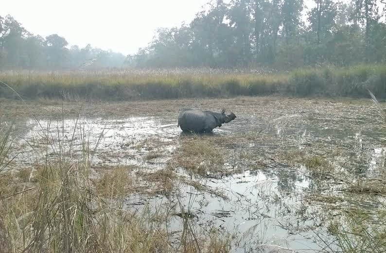 Image accompanying Chitwan National Park losing land to encroachers