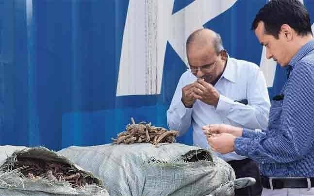 Image accompanying Herb racket busted in Mumbai, 33,000 kg of grass seized