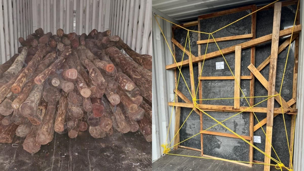 Image accompanying DRI Seizes 8 Metric Tons Of Red Sanders Smuggled As Granite Slabs At Nhava Sheva Port, 5 Arrested