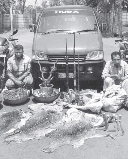 Image accompanying Two poachers arrested while transporting antlers, venison