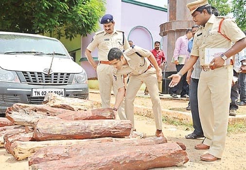 Image accompanying 44 lakh worth red sanders logs seized