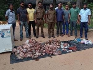 Image accompanying 174 kgs of bush meat raided from a restaurant in Dambulla