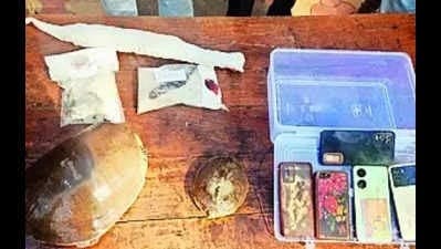 Image accompanying Gang poaching wild animals to perform black magic busted