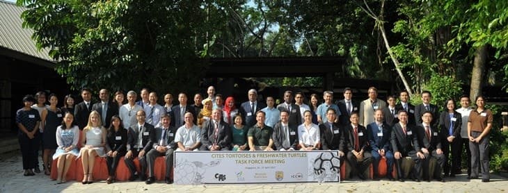 Image accompanying SAWEN participates in CITES TFT task force meeting