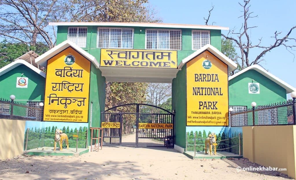 Image accompanying 25 tiger jaws and a rhino horn missing from Bardiya National Park storage