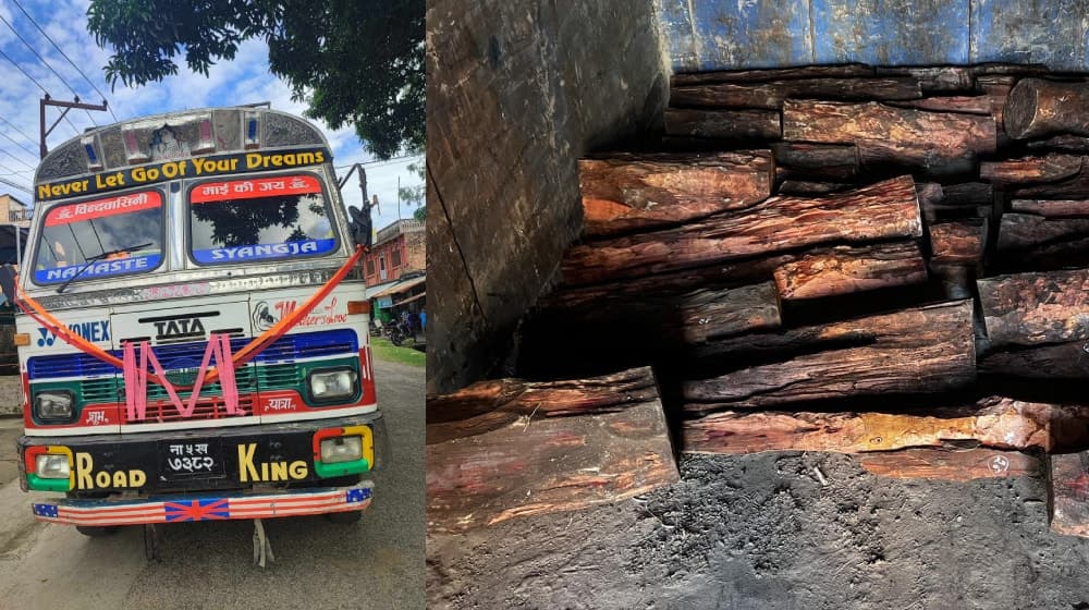 Image accompanying Red sandalwood seized in Kapilvastu