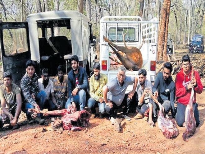 Image accompanying Suspected poacher killed, 8 policemen injured in clash in Rajasthan