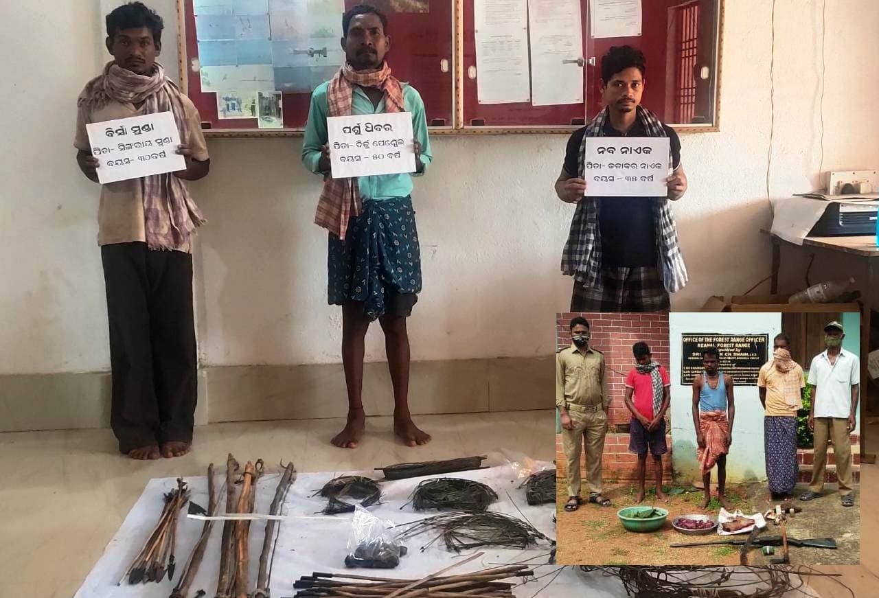 Image accompanying Six Poachers Arrested In Deogarh; Explosives, Firearm & Venison Seized