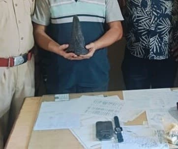 Image accompanying One apprehended for attempted smuggling of rhino horn to Nepal in Naxalbari