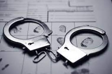 Image accompanying Two held for attempting to sell tiger skin in Kanker district