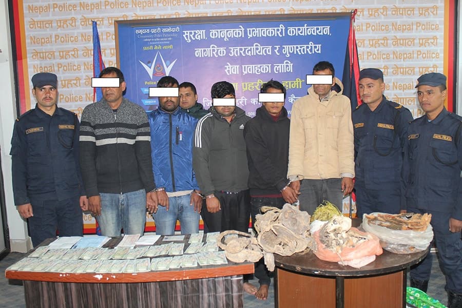 Image accompanying 5 arrested with fake notes and tiger bones in Kailali