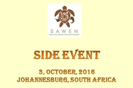 Image for SAWEN Side Event