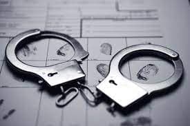 Image accompanying 3 red sanders smugglers held, logs seized