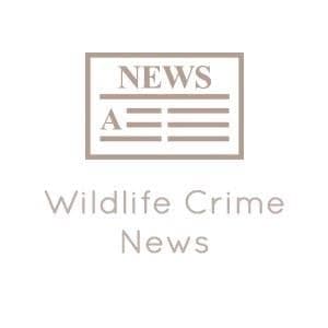 Image accompanying Pakistan Customs resolves to bar wildlife trafficking