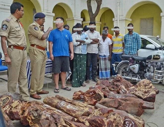 Image accompanying International red sanders smuggler held